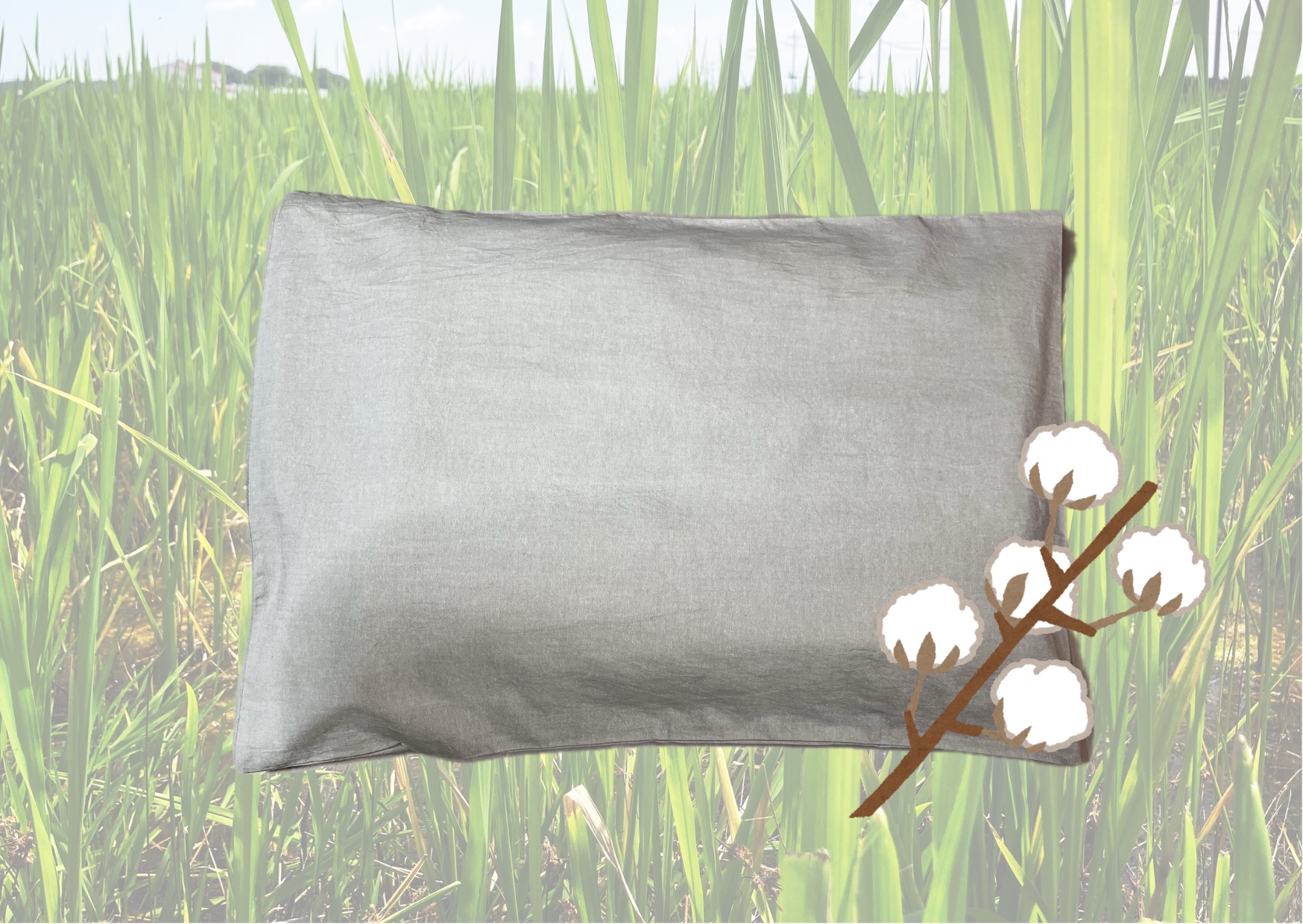 【靈草マコモ枕(綿カバー)】睡眠の質を高めたい方、心地良い眠りにつきたい方へ