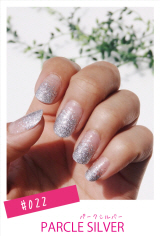  LaDun（ラドュン）ジェルネイルシール　スパークルシルバー　022GL