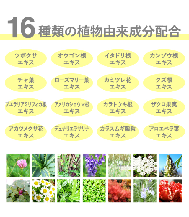 リンクルール　5g