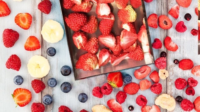 フリーズドライ装置, 真空凍結乾燥機, ドライフルーツ