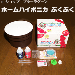 水耕栽培キット_ぷくぷく_ホームハイポニカ_ハイポニカ