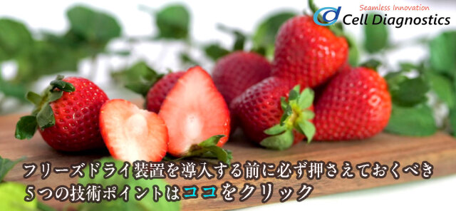 イチゴ フリーズドライ装置 セル・ダイアグノスティックス 凍結乾燥機 食品乾燥機