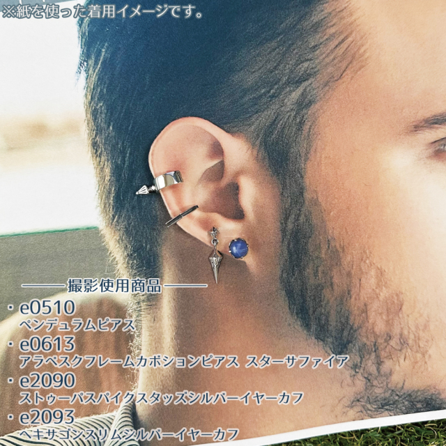 cenote e0510 【シルバーアクセサリー】 ペンデュラムピアス