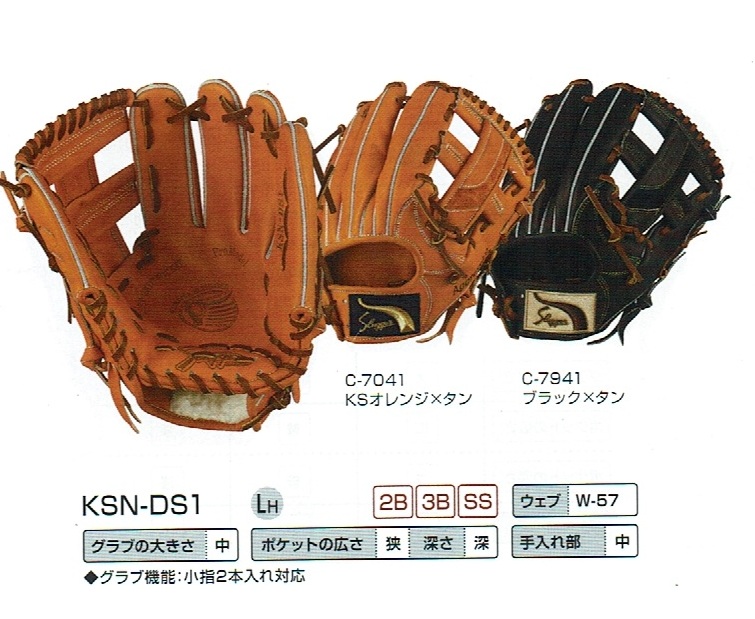 KSN-DS1