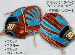 ウィルソンシュミレーション