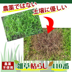 雑草枯らし１１０番