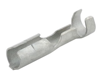 小型ギボシメス