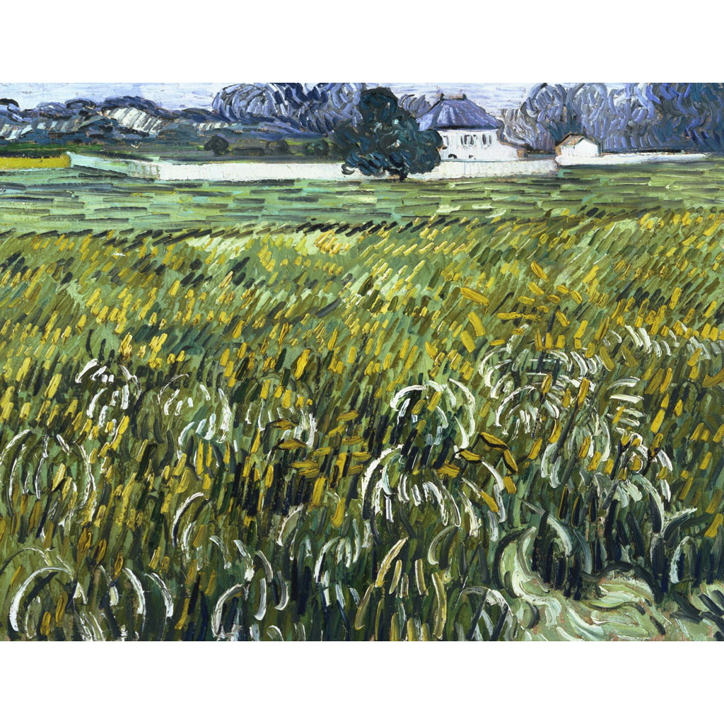  白い家のあるオーヴェルの麦畑