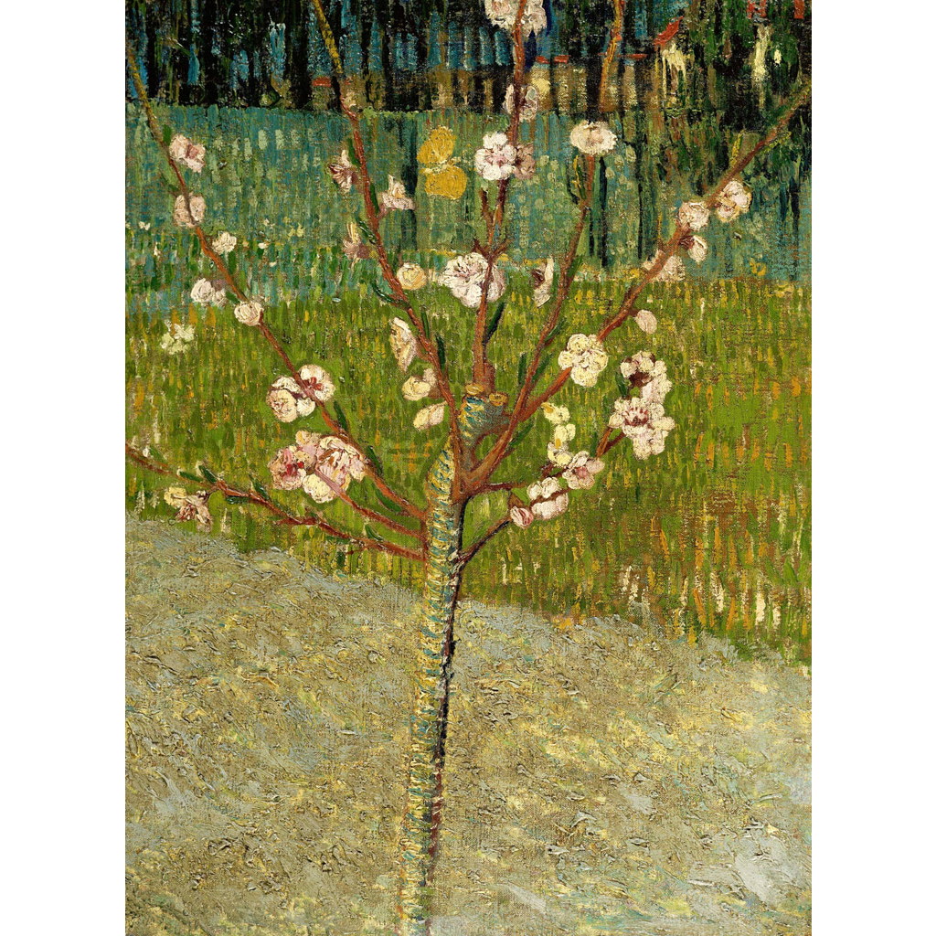 花咲くアーモンドの木