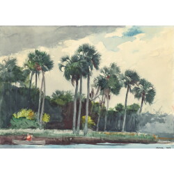 【オーダー油絵 】ウィンスロー・ホーマー 赤いシャツ、フロリダのホモサッサ 【選べるサイズ／選べる額縁付】