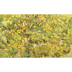  黄色い花の野