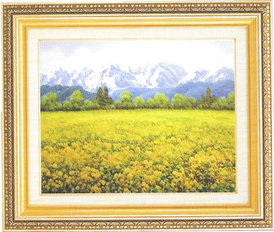 桑山茂長野戸隠高原 F6