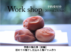 梅干しづくり　ワーク