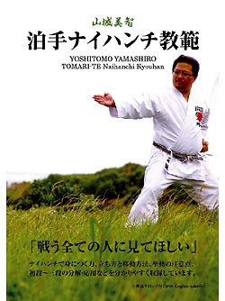 泊手ナイハンチ教範 (DVD)