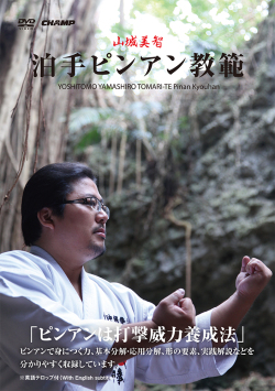 泊手ピンアン教範 (DVD)