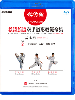 松涛館流空手道形教範全集「基本形」 Vol.2 平安四段・平安五段