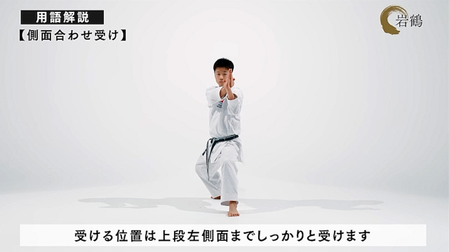 全商品オープニング価格！ 日本空手協会 空手道型 (DVD) 第3巻 スポーツ・フィットネス