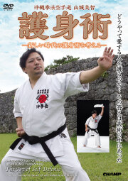 山城美智シリーズ