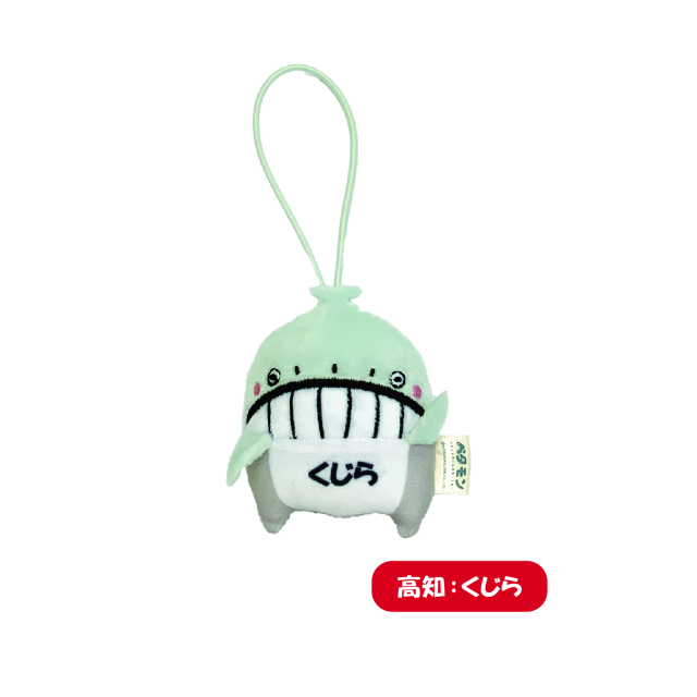 ペタモン_高知_くじら