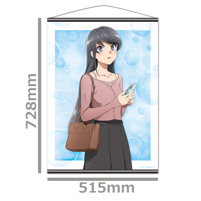 A賞 タペストリー Amazon.co.jp: 無職転生 ～異世界行ったら本気だす～ B2