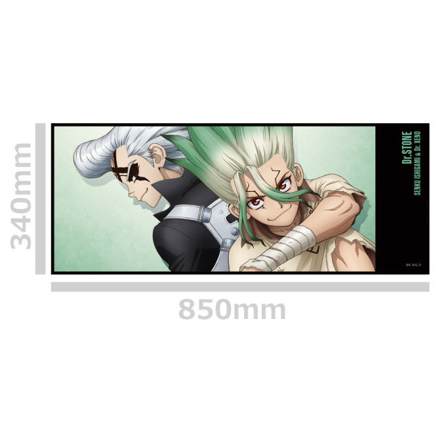 Dr．STONE 缶バッジ付ハイブリッドタオル 千空&ゼノ
