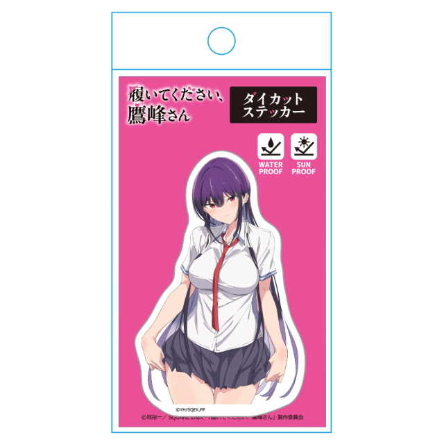履いてください、鷹峰さん 1巻 特典 イラストカード - メルカリ