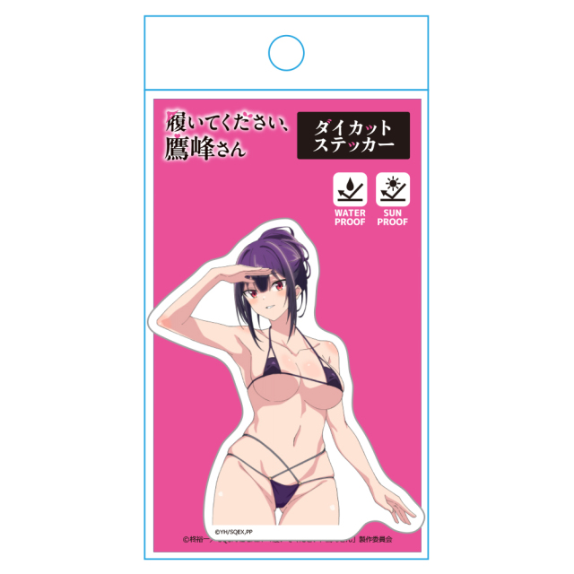 履いてください、鷹峰さん 特大布ポスター 鷹峰 ウェディングドレスビキニver. 履いてください、鷹峰さん」“あなたが濡らしたんでしょう