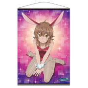 ダンジョンに出会いを求めるのは間違っているだろうかIV B2タペストリーC［リリルカ］