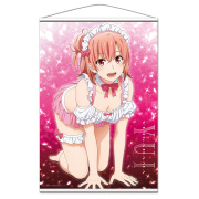 やはり俺の青春ラブコメはまちがっている。完