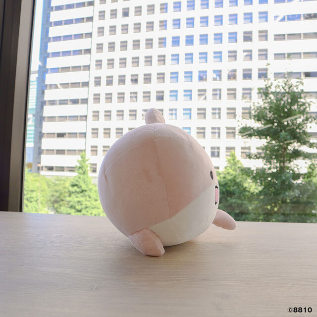 ぬいぐるみ しゃーもん