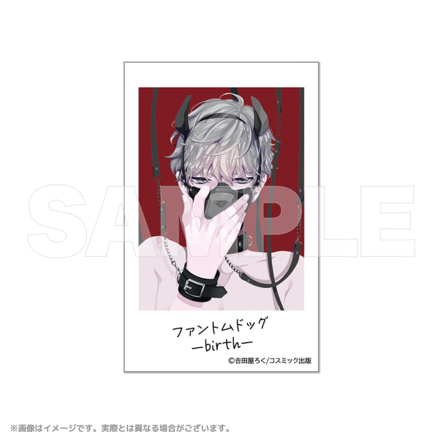 Spicy Whip トレーディングチェキ風ブロマイド