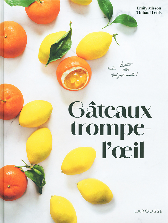 Gateaux trompe-l'oeil (フランス)