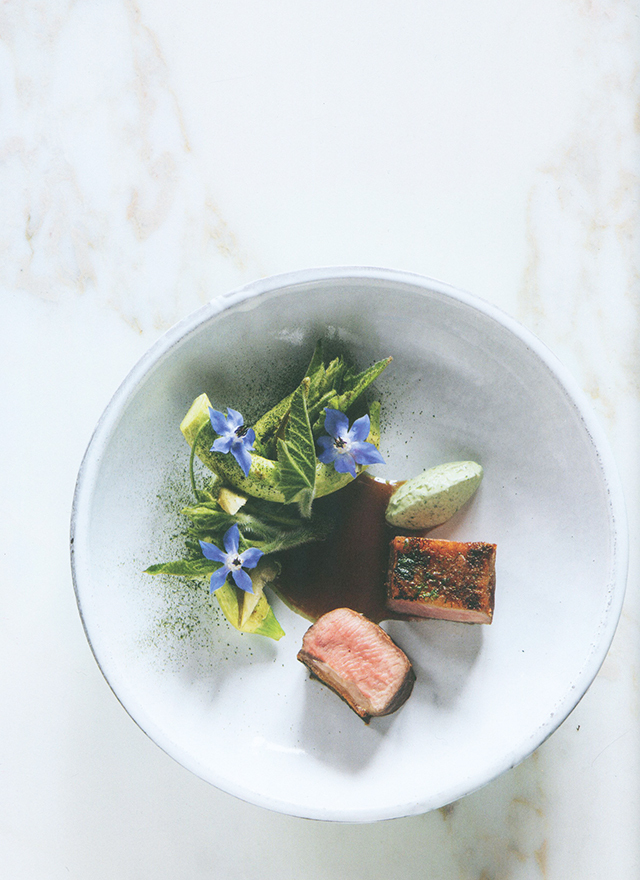 フランス料理 洋書 アランデュカス Amazon.co.jp: アラン・デュカス、美食と情熱の人生 : アラン