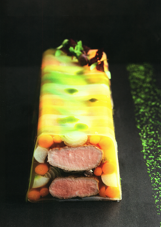 LE GRAND LIVRE DE LA CHARCUTERIE (フランス)