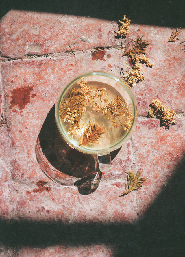 INFUSIONS TERROIRS DES SIMPLES (フランス)