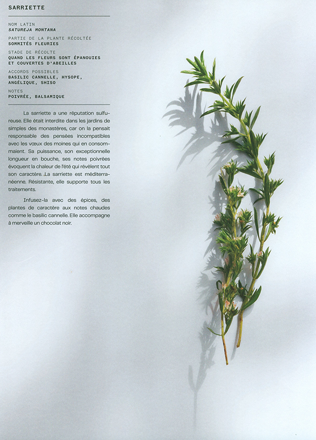 洋書 Infusions - Terroirs des simples Infusions - Terroirs des simples: Poirrier, Claire, Poirrier