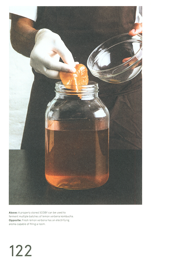 The Noma Guide to Fermentation (デンマーク)