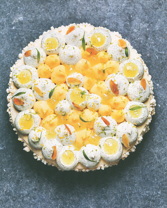 Pâtisserie アルノーラエール著 Patisserie : Arnaud Larher (フランス・パリ)