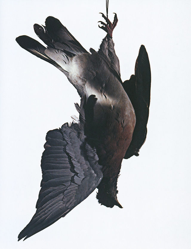 ERIC FRECHON TOUT CE QUE VOUS DEVEZ AVOIR GOUTE (フランス パリ) 中古