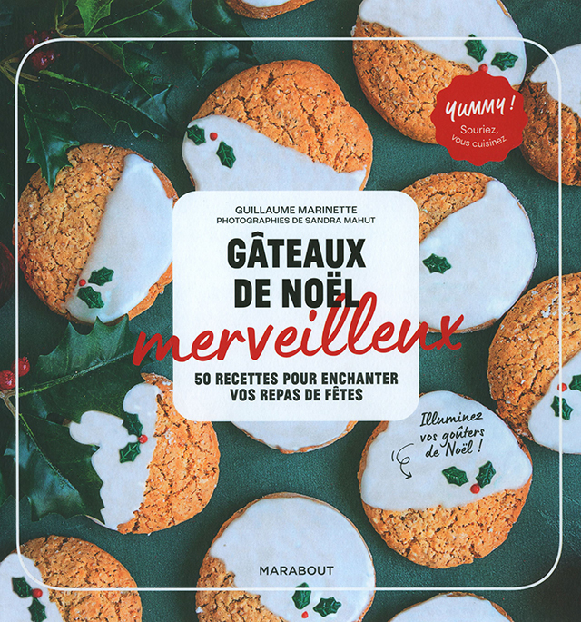 GATEAUX DE NOEL merveilleux (フランス)