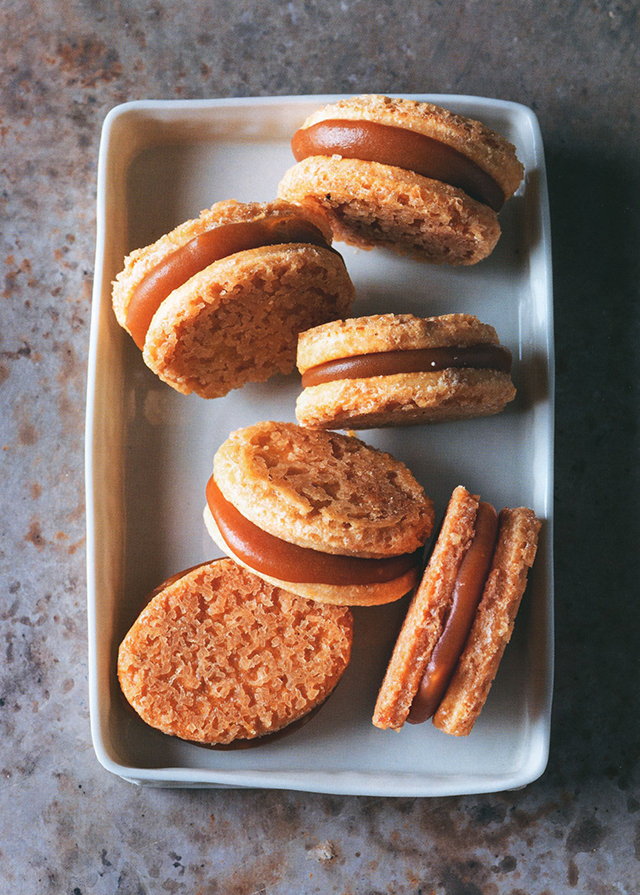 Ma petite Biscuiterie 洋書　お菓子　レシピ Ma petite biscuiterie Christophe Felder Camille Lesecq