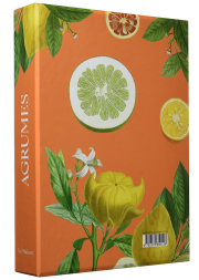 LE LIVRE BLANC ANNE-SOPHIE PIC (フランス・ヴァランス) 絶版