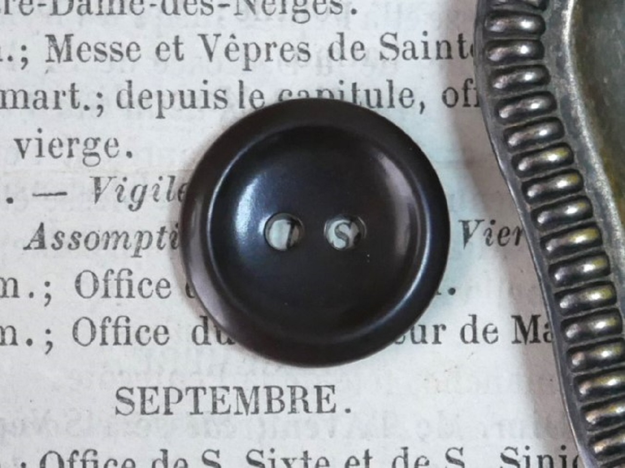 フランスプラスチック丸ボタン（ダークブラウンM）