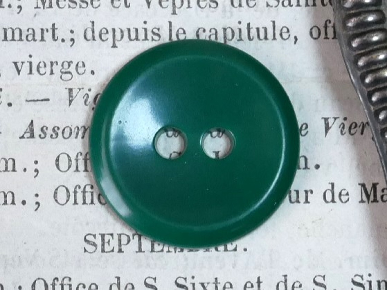 フランスプラスチック丸ボタン（グリーンL）