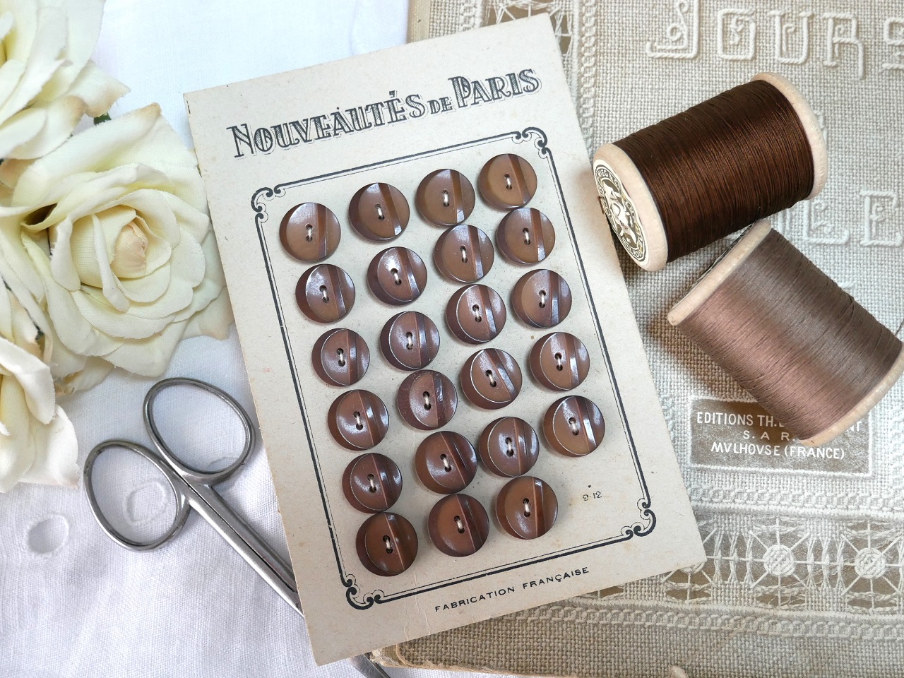 フランスガラリスミニブラウンボタンシート