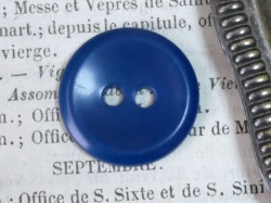 フランスプラスチック丸ボタン（ブルーL）