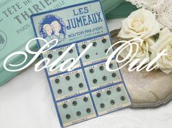 フランススナップボタンシート　LES JUMEAUX A