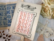 フランスアンティークマザーオブパールピンクボタンシート