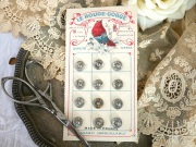 フランスアンティ―クスナップボタンシートS（LE ROUGE-GORGE）