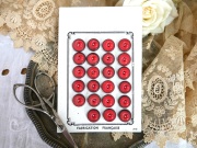 フランスガラリスミニレッドボタンシート